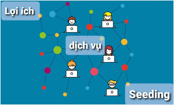 dich-vu-seeding